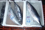 20101016_cats.jpg