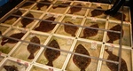20131203_hiramen.jpg