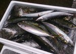 20181106_0558.jpg