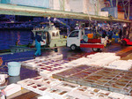 20080105_hirame01.jpg