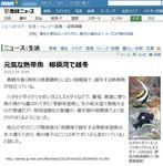 20100308_flagnews.jpg