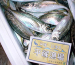 201006aji_f.jpg
