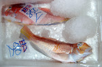 20101109_amachan.jpg