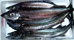 20101112_sumiyakey.jpg