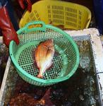 20120409_taitaikai.JPG