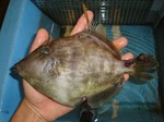 20120518_taghagi.jpg