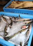 20120611_mtofburi.JPG