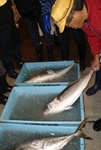 20121205_doredore.jpg