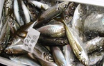 20130311_ajian.jpg