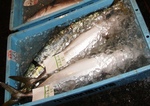 20130311_manaburi.jpg
