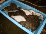 20130316_bigame.jpg