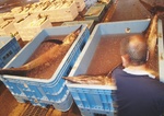 20130801_bigkajiki.jpg