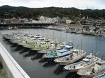 20131016_afun.jpg