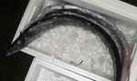 20131111_bakkey.jpg