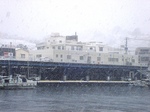 20140208_snowminato.jpg