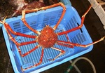201402_takacrab.jpg