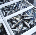 20140507_manji.jpg