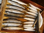 20140612_kakamama.jpg