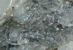 20150601_sirasira.jpg