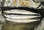 20150805_samma.jpg