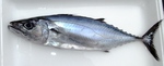 20151003_iso.jpg