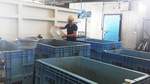 20160521_washing.jpg