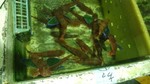 20181108_0500.jpg