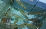 20181109_0703.jpg