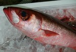 20181119_0407.jpg