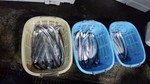 20181124_0356.jpg