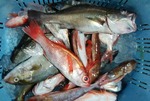 20181124_0514.jpg