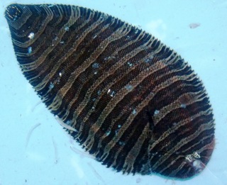 20181130_0749.jpg