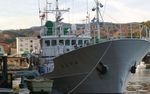 20210210_ship.jpg