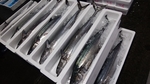 line_1555620826168.jpg